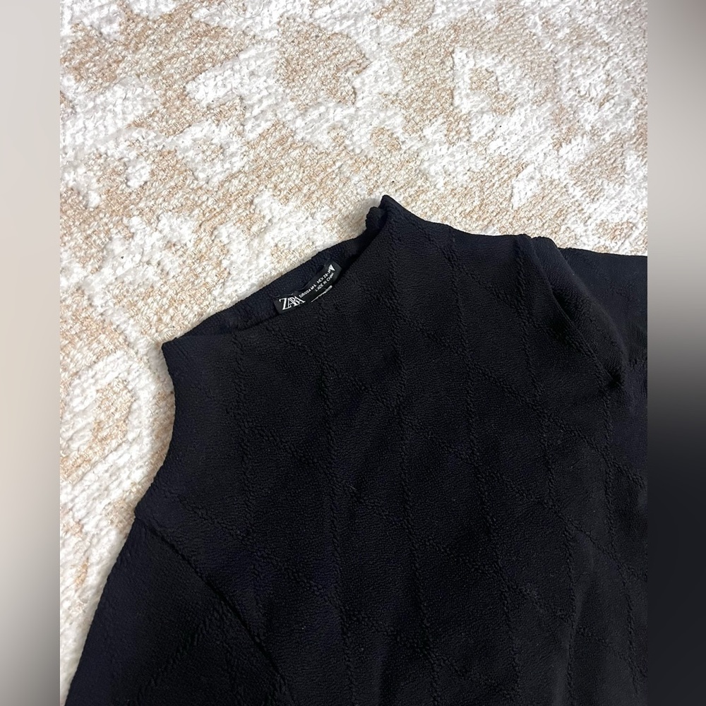 Zara high neck cropped top